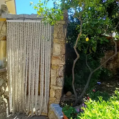 Il Glicine * 维拉西米乌斯