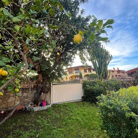 Il Glicine * 维拉西米乌斯