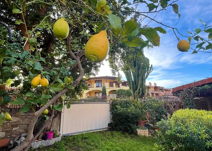 Apartamento Il Glicine