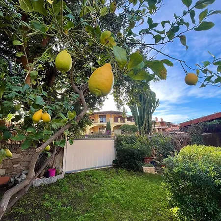 Апартаменты Il Glicine