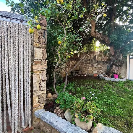 Apartment Il Glicine