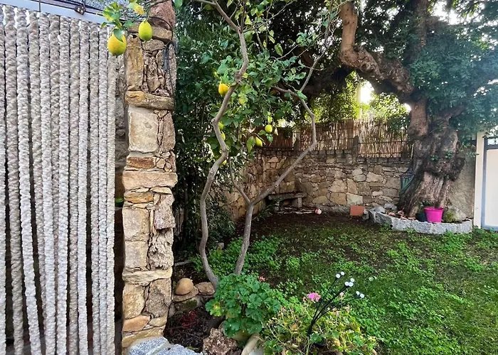 Apartment Il Glicine